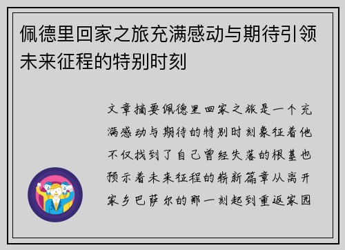 佩德里回家之旅充满感动与期待引领未来征程的特别时刻