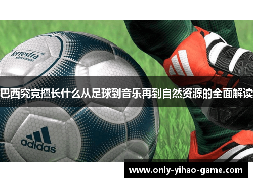 巴西究竟擅长什么从足球到音乐再到自然资源的全面解读