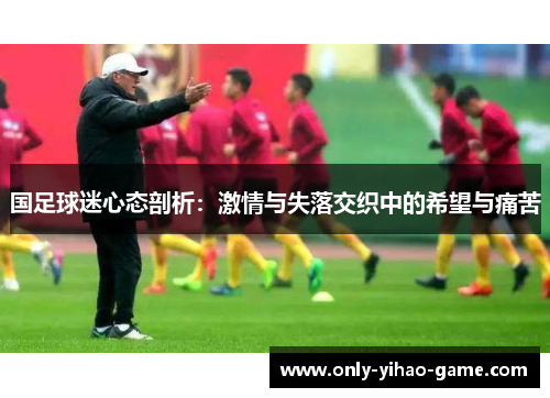国足球迷心态剖析：激情与失落交织中的希望与痛苦