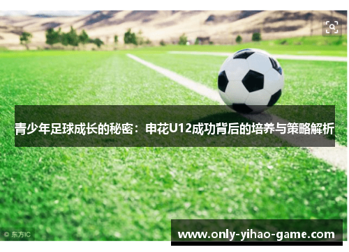 青少年足球成长的秘密：申花U12成功背后的培养与策略解析