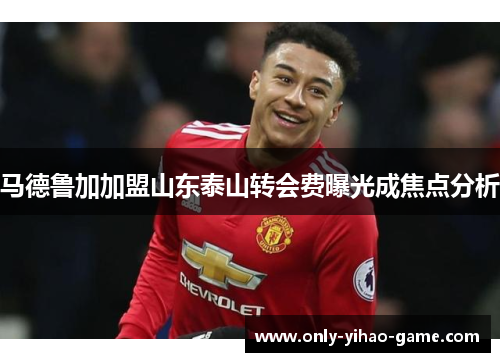 马德鲁加加盟山东泰山转会费曝光成焦点分析