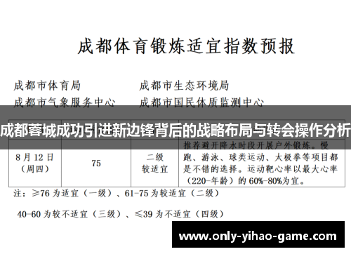 成都蓉城成功引进新边锋背后的战略布局与转会操作分析
