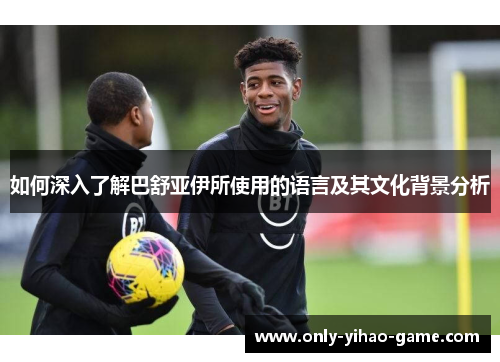 如何深入了解巴舒亚伊所使用的语言及其文化背景分析