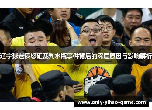 辽宁球迷愤怒砸裁判水瓶事件背后的深层原因与影响解析