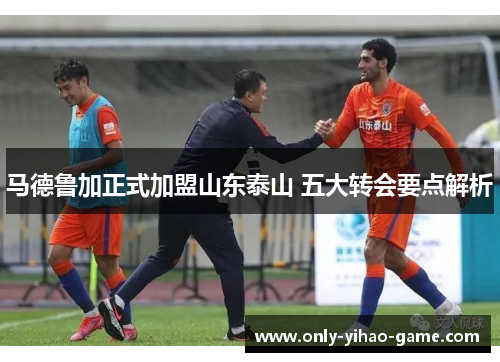 马德鲁加正式加盟山东泰山 五大转会要点解析